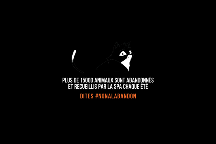Crédit photo : copie d'écran Youtube SPA