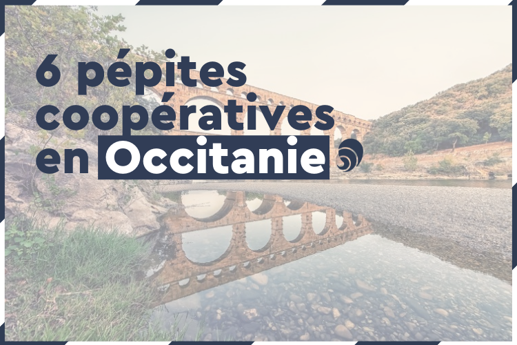 6 pépites coopératives en Occitanie. 