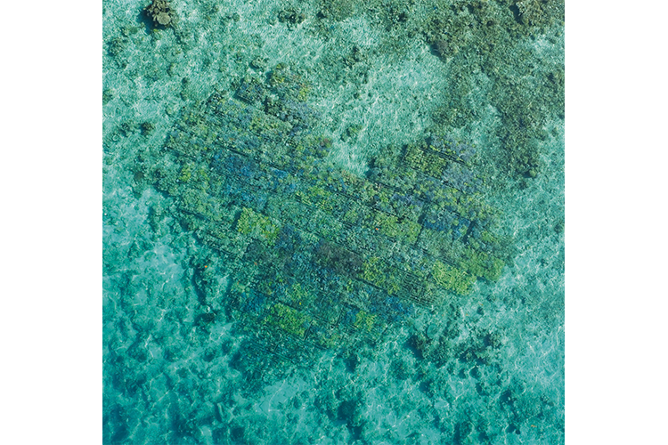 Coeur de Corail de Coral Guardian