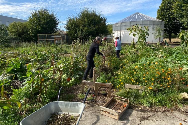 Le projet de LAB3S : apprendre à cultiver et entretenir collectivement un jardin partagé mais aussi cuisiner ensemble sur la base de nouvelles habitudes alimentaires.