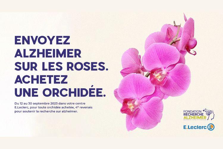 Envoyez Alzheimer sur les roses, achetez une orchidée