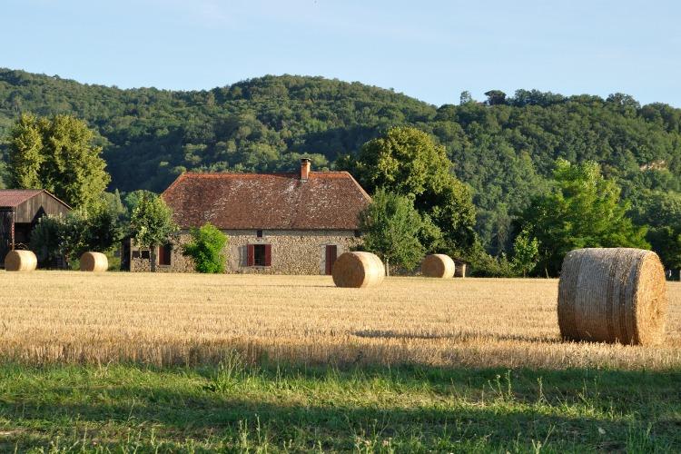 La loi a été adoptée à quelques jours du salon de l'Agriculture. Crédits : iStock.