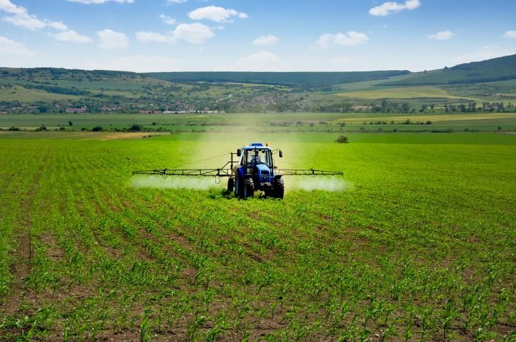 L'utilisation des pesticides chimiques a des conséquences sur la dégradation de la biodiversité et sur la santé humaine. Crédit : valio84sl