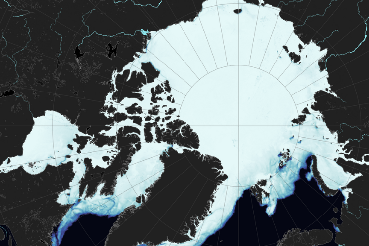 Une carte de la glace de mer proposée par Mercator Ocean. Crédit : Copernicus Marine Service x Mercator Ocean International.