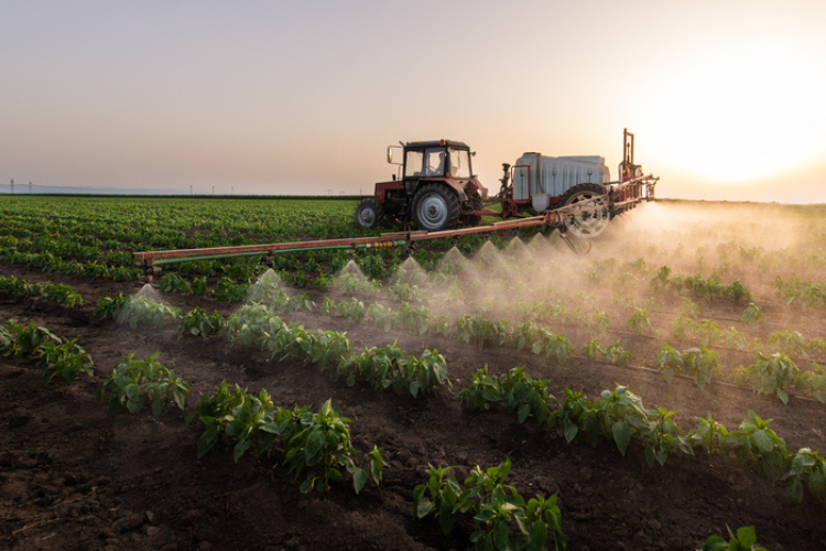 Parmi les mesures les plus décriées, la ré-autorisation de l’acétamipride, un insecticide néonicotinoïde. Crédit : iStock