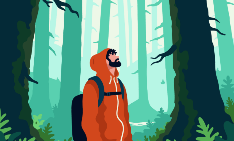 visuel d'un randonneur dans une forêt