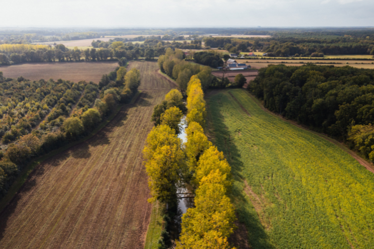 Le Fonds Maif pour le vivant a contribué à financer des travaux de restructuration de la rivière Lathan, dans le Maine-et-Loire. Crédit : David Priou / Atypix / Maif