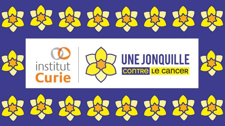 Une Jonquille contre le cancer Institut Curie
