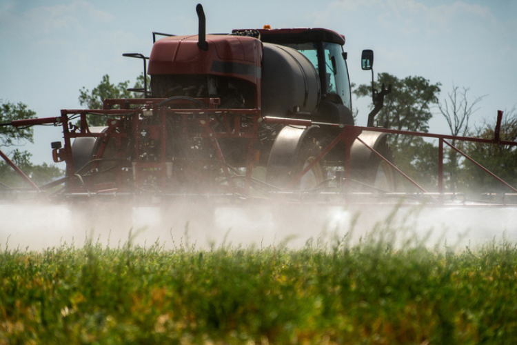 La loi Duplomb a été élaborée en réponse aux manifestations des agriculteurs de janvier 2024. Elle prévoit la réintroduction d'un pesticide décrié par de nombreuses associations pour ses effets sur l'environnement et la santé. Crédit : iStock