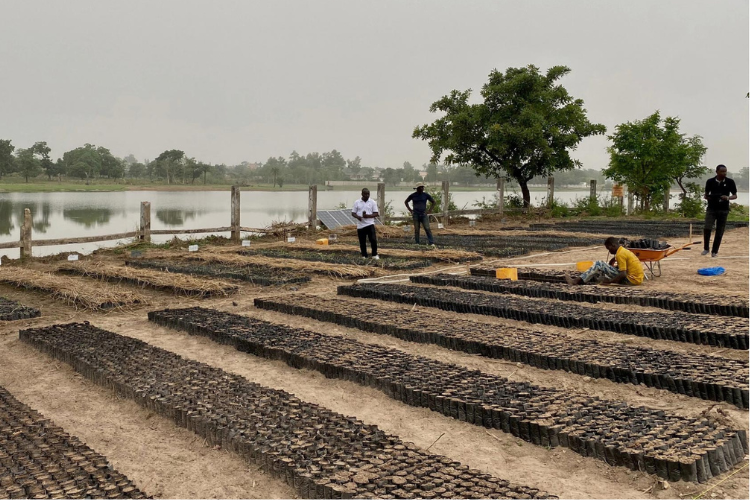 L'économie sociale et solidaire joue un rôle stratégique en Afrique. Ici, un projet de restauration de forêts sacrées au Bénin, porté par l'ONG Planète urgence. Crédit : Planète urgence, Groupe SOS.
