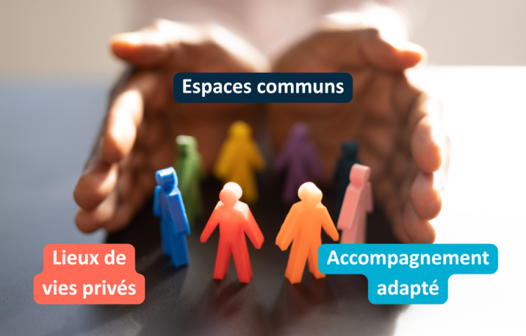 Les Petites Pierres interroge les habitants de logements inclusifs pour connaître leur retour d'expérience