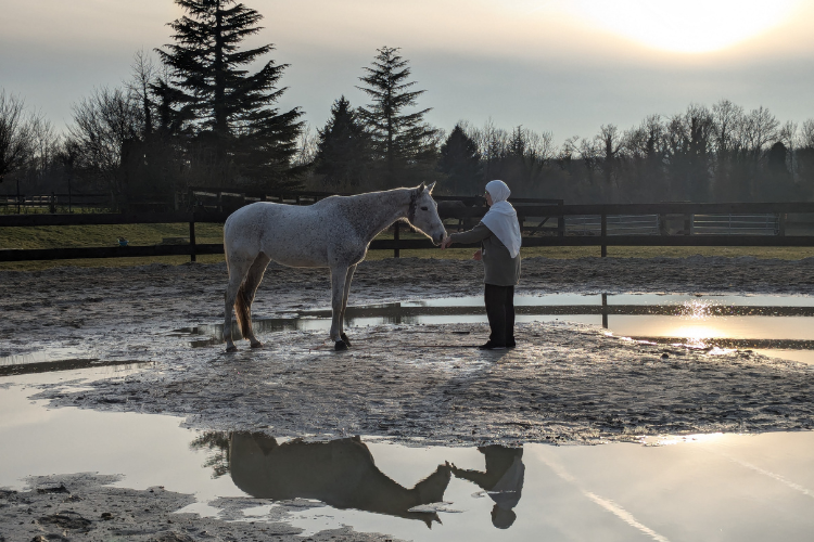 Crédit photo : Moulin du Pont Rû