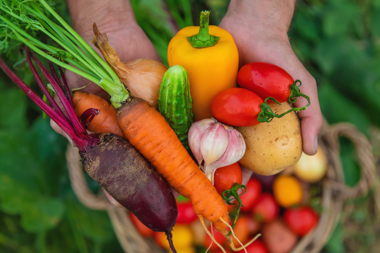 Les fruits et légumes de saison font partie de la liste des produits recommandés par le Programme national nutrition santé. Crédit : iStock / Yana Tatevosian