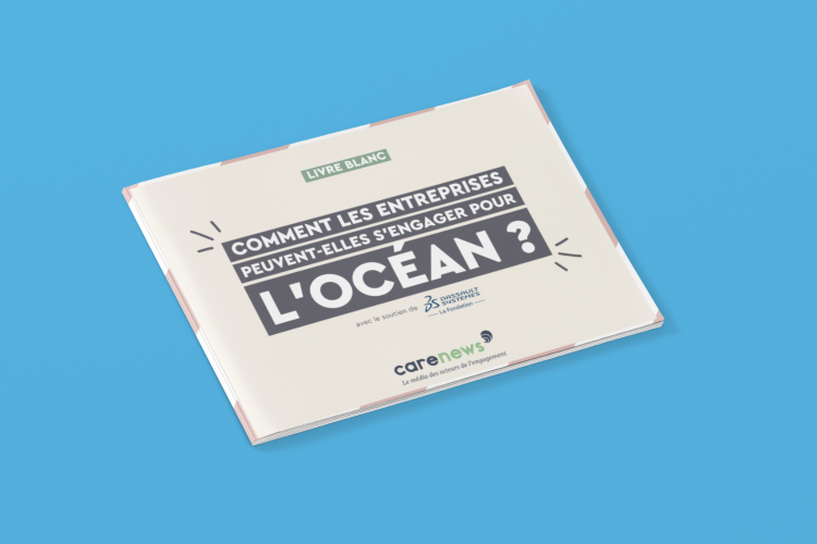 Ce livre blanc vous propose des clés pour mieux comprendre les enjeux liés aux océans et les moyens par lesquels les entreprises peuvent s'engager. Crédit : Carenews
