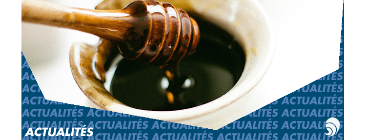 Le Duff devient mécène du Fonds Nominoë