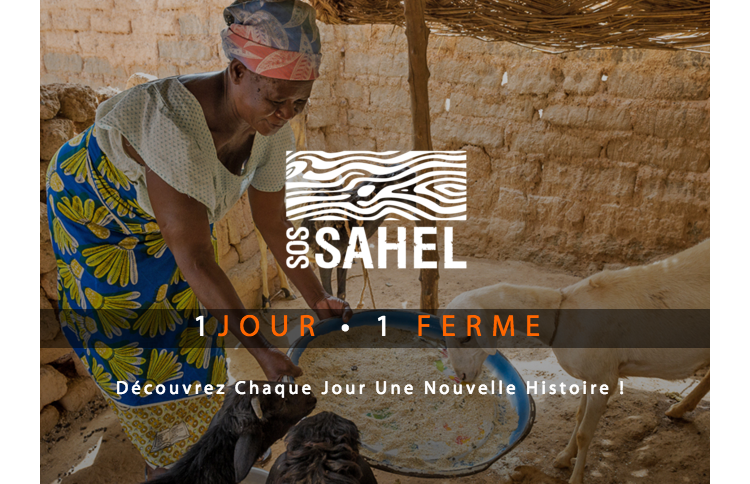 Chaque jour une nouvelle histoire !