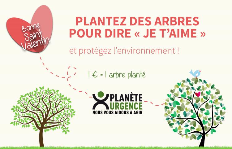 La Saint-Valentin approche ! Plantez des arbres pour dire « Je t’aime » !