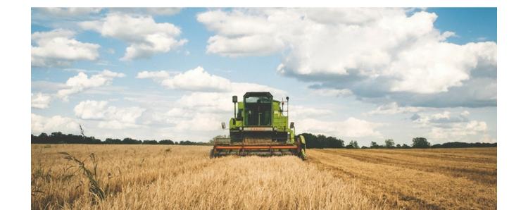 Terres Innovantes : le fonds de dotation des Jeunes Agriculteurs