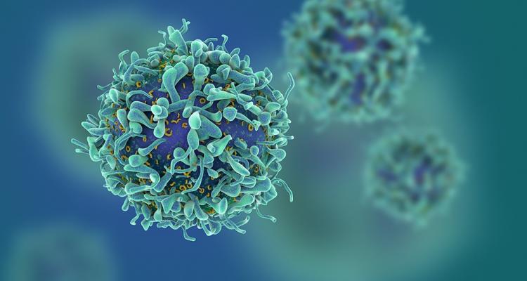 Les cancers de l'enfant en hausse de 13% en vingt ans !