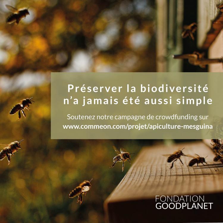 La Fondation GoodPlanet se mobilise pour l'apiculture au Maroc