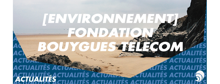 [ENVIRONNEMENT] Appel à projets Fondation Bouygues Telecom : les lauréats 2018