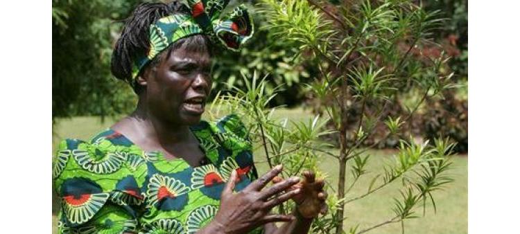 Le débat Africain sur RFI