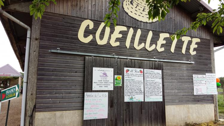 Au Plessis, je cueille et je donne !