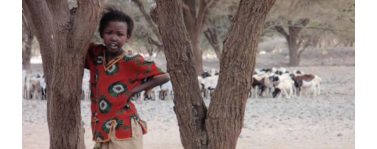 Nouvel appel de Solidarités International pour dénoncer la famine en Afrique