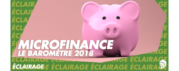 [ÉCLAIRAGE] Baromètre 2018 de la microfinance : quelles rentabilités ?
