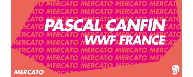 [MERCATO] Pascal Canfin quitte son poste de directeur général du WWF France