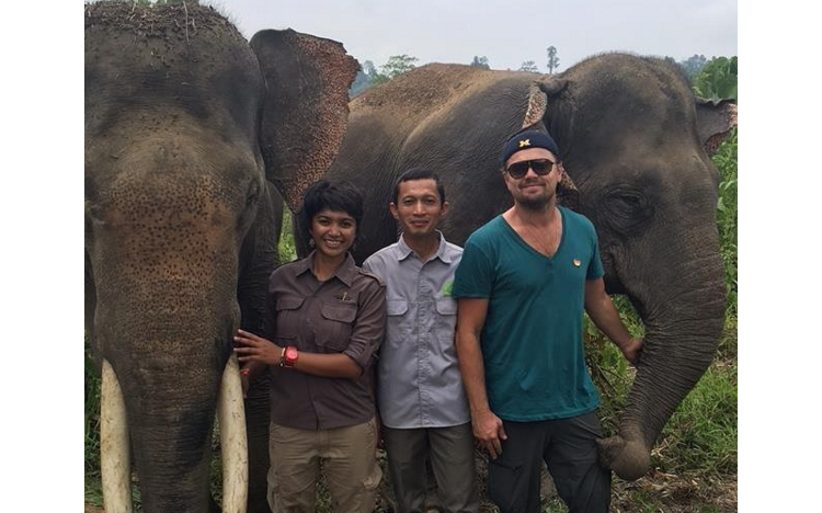 [MERCREDI EN IMAGES] Leonardo DiCaprio à la rescousse des animaux en Indonésie