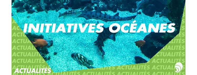 Environnement : Les Initiatives Océanes au secours des fonds marins