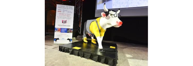 Ventes aux enchères : les vaches paradent pour les Restos du Coeur