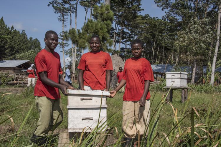 France Parrainages lance la 1ère formation apicole pour les jeunes Tanzaniens