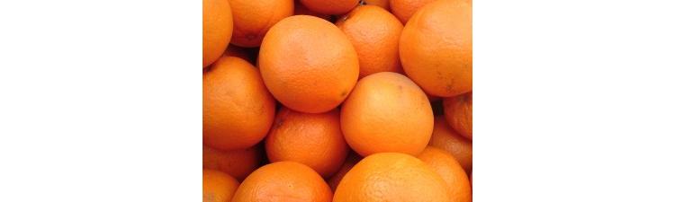 8-9 Février 2014: Opération Oranges !