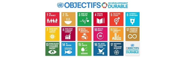 Webinaire Objectifs du Développement Durable et entreprises #2