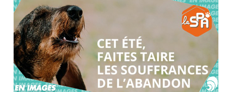 [EN IMAGES]  Campagne de la SPA contre l'abandon des animaux avant les vacances