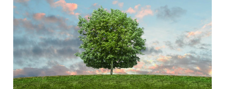 La semaine européenne du développement durable débute ce 30 mai