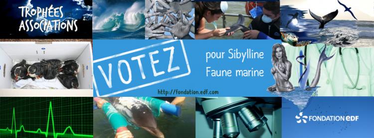 Votez pour nous !