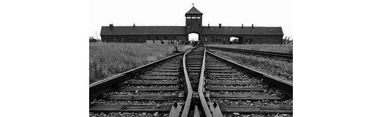 Fondation Auschwitz-Birkenau : L'horreur, à jamais gravée dans nos mémoires