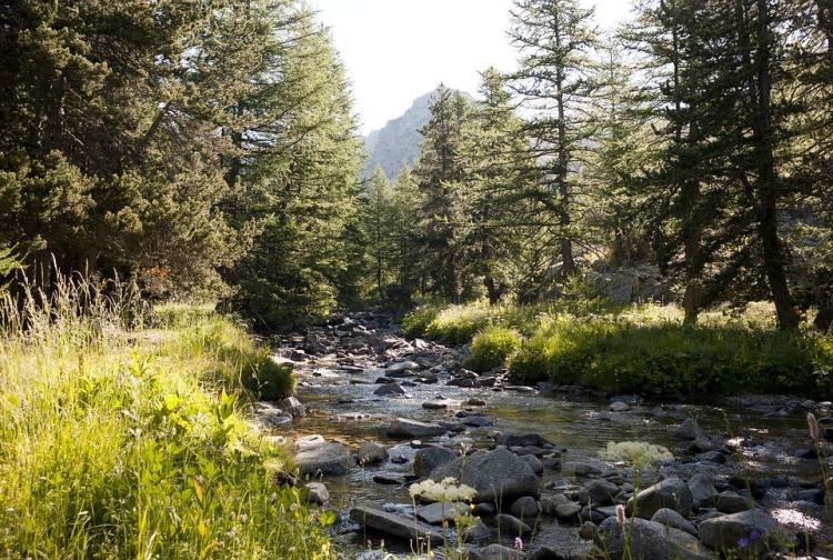Mécénat : GMF participe activement à la protection des parcs nationaux