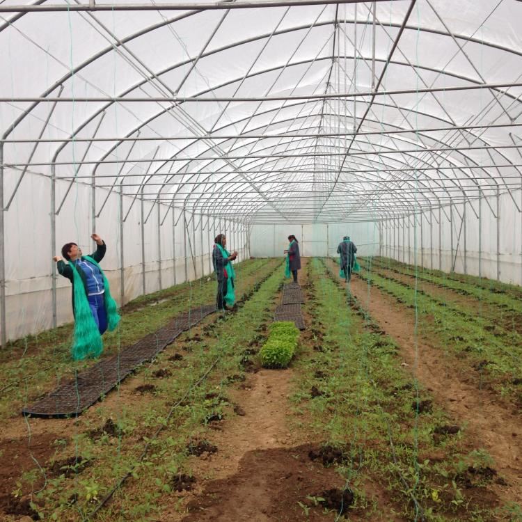 La Fondation Carrefour soutient l'agriculture urbaine