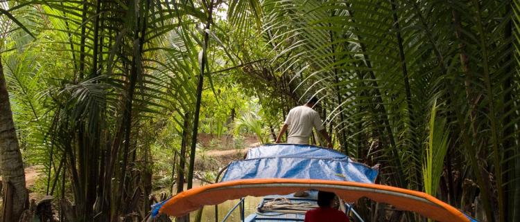 Biodiversité - Total Foundation soutient les Journées de la FRB
