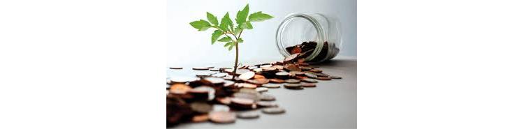 Léguer en toute sérénité à une association ou une fondation