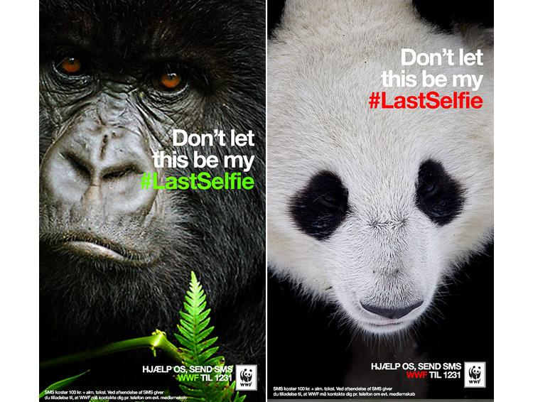 SnapChat au secours des animaux