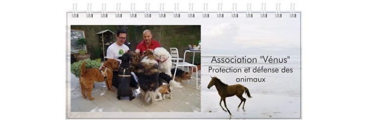 Le calendrier 2016 de notre association