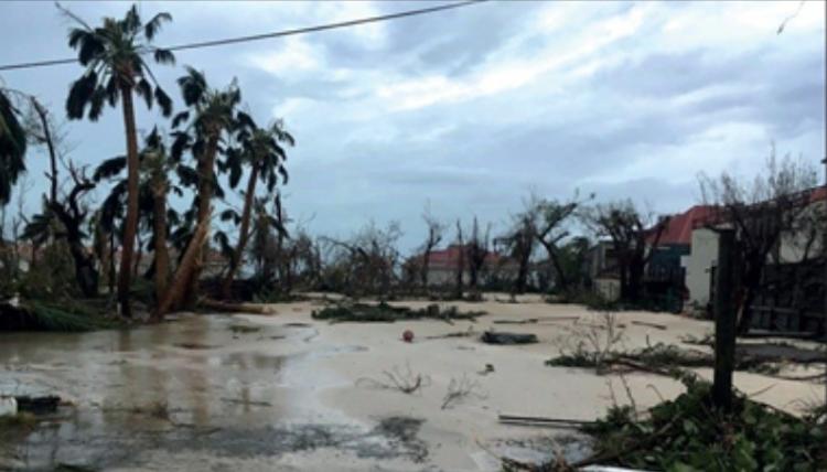 Ouragan Irma, la Fondation Carrefour déclenche une aide d’urgence
