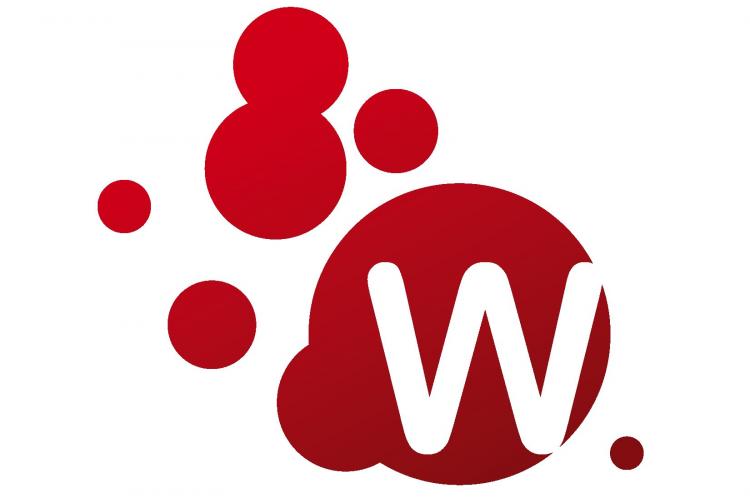 Willebrand : 1er stage national d’éducation thérapeutique - 21 et 22 novembre