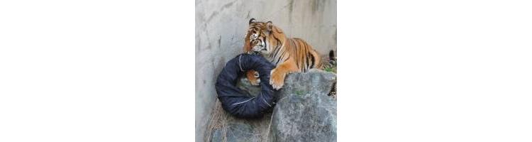 La griffe sauvage d'un zoo japonais récolte des fonds!
