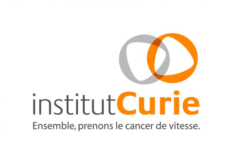 Il y aurait deux types de cancers de la surrénale !